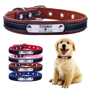 Adjustable Custom Engraved Leather Dog Collar - XS-L