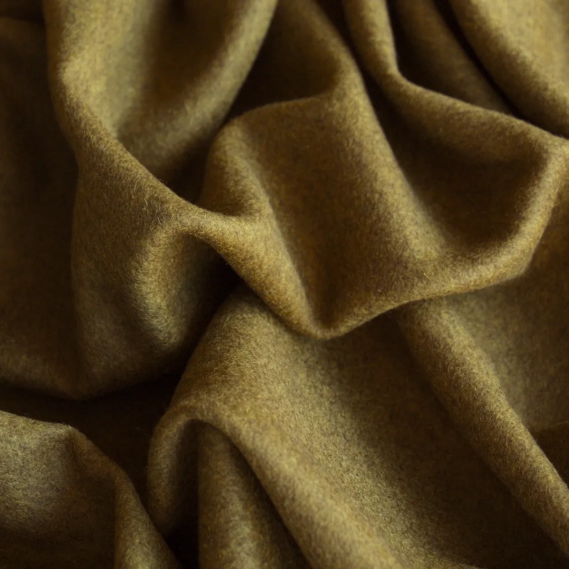 Cashmere Antonia