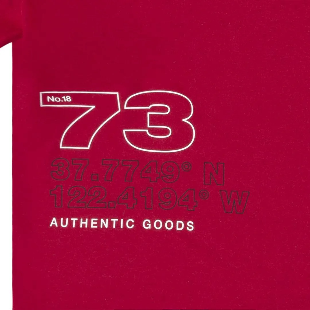 Levi's The Best Brand Tee (Big Kids)