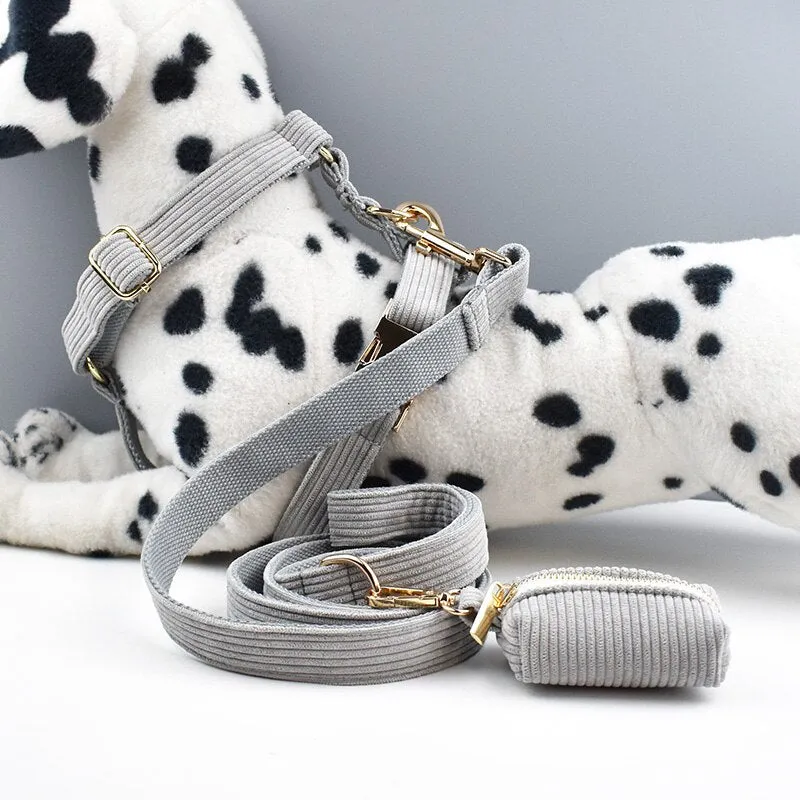 Light Grey Corduroy Dog Collar And Leash With Custom Engraved Nameplate