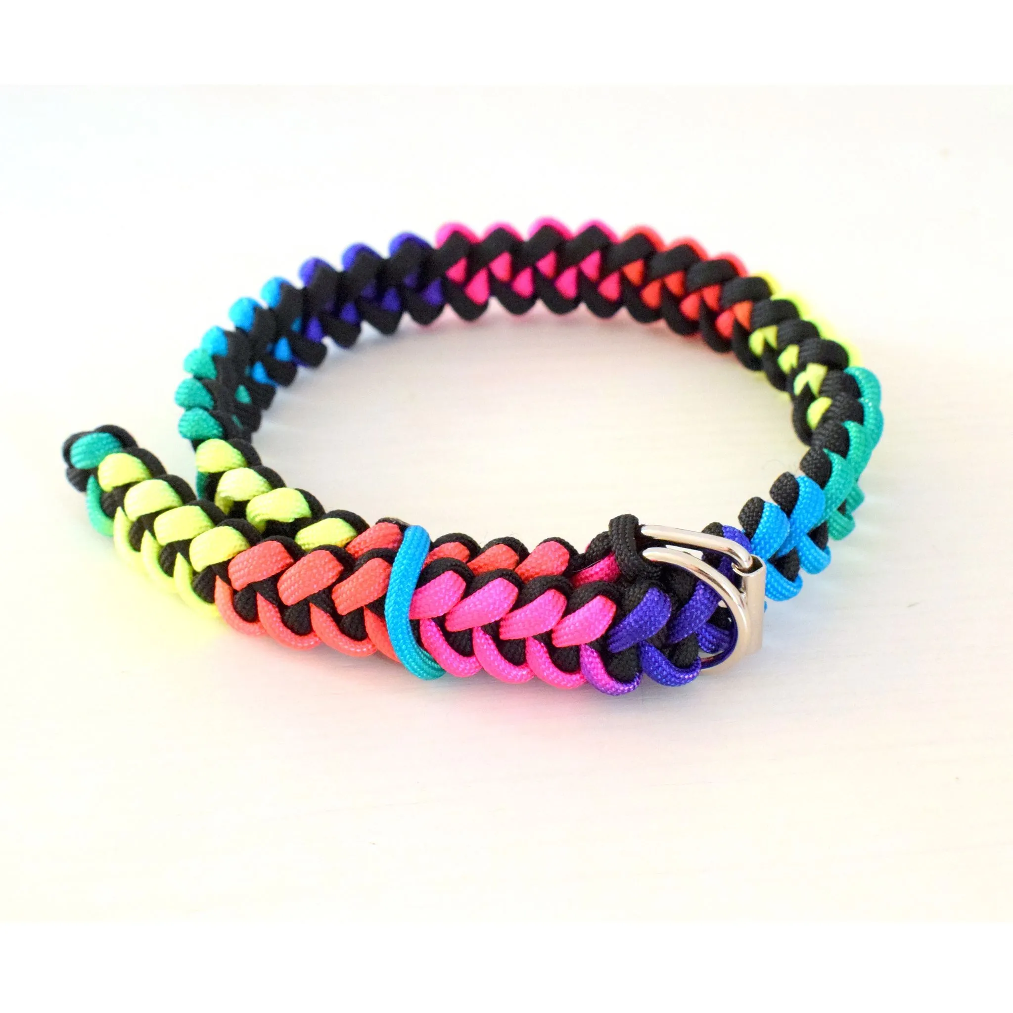 Manta rey S dog collar