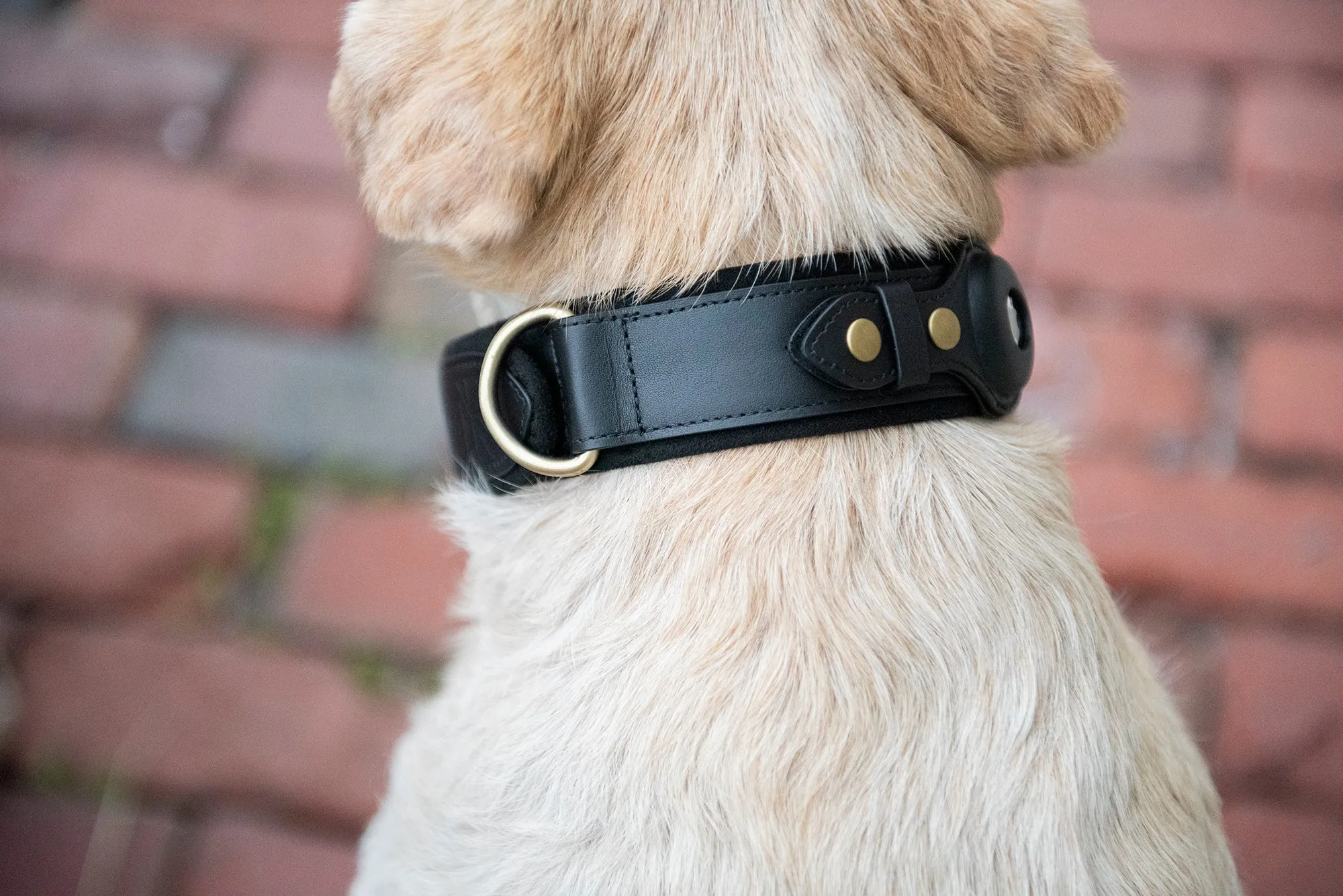 Nine Twenty Eight™ Small AirTag Dog Collar