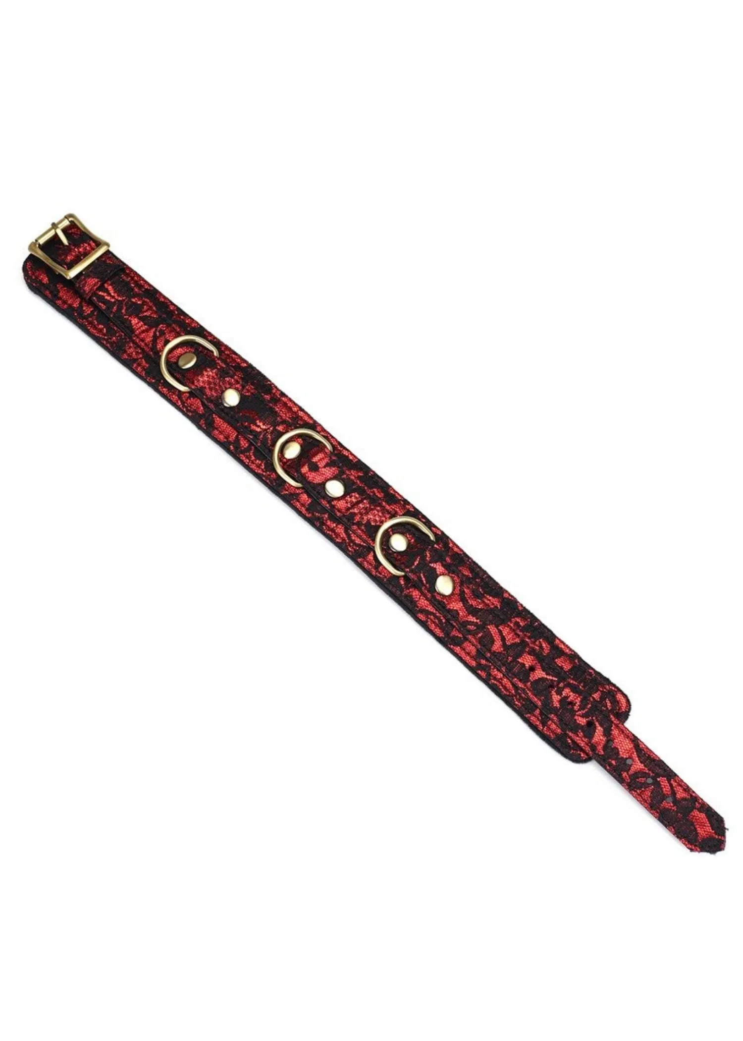 Victorian Garden Lace and Velvet Collar with Leash