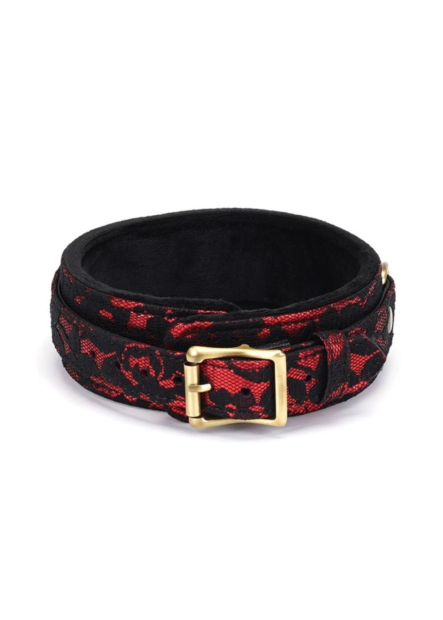 Victorian Garden Lace and Velvet Collar with Leash